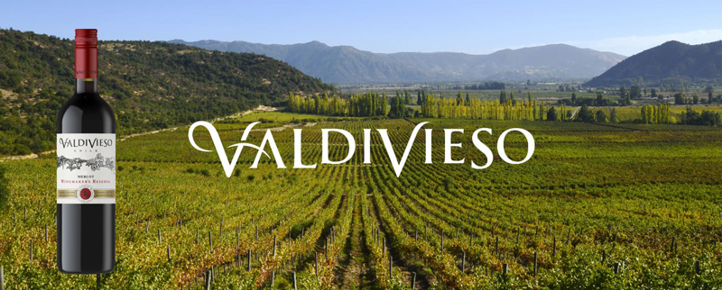 Rượu vang Valdivieso Winemaker Reserva Cabernet Sauvignon Rượu VIP