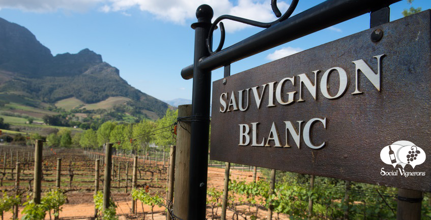 Sauvignon Blanc Vineyard Sign Marlborough Mountains Social Vignerons
