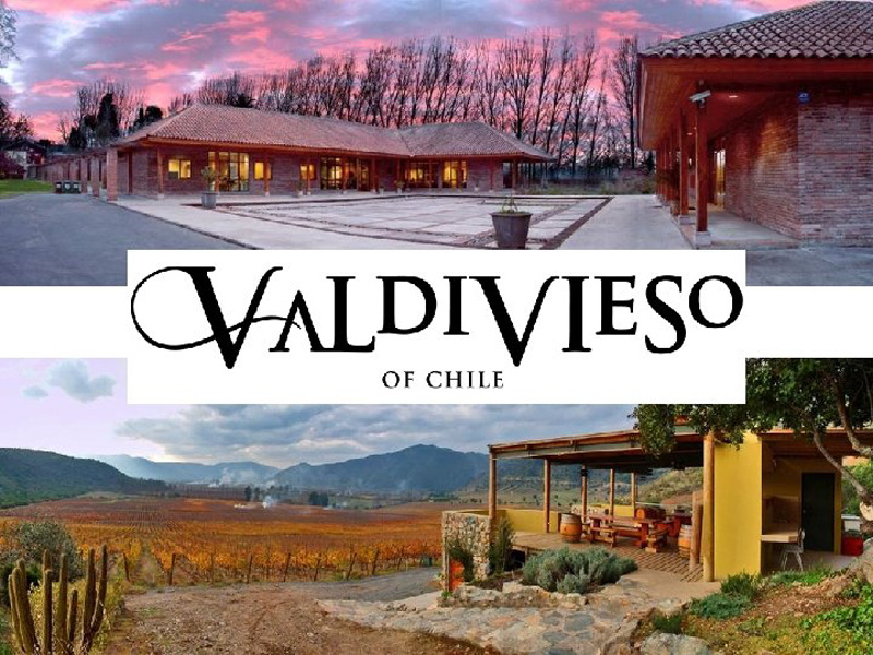 Rượu vang Valdivieso Winemaker Reserva Cabernet Sauvignon - Rượu Vip