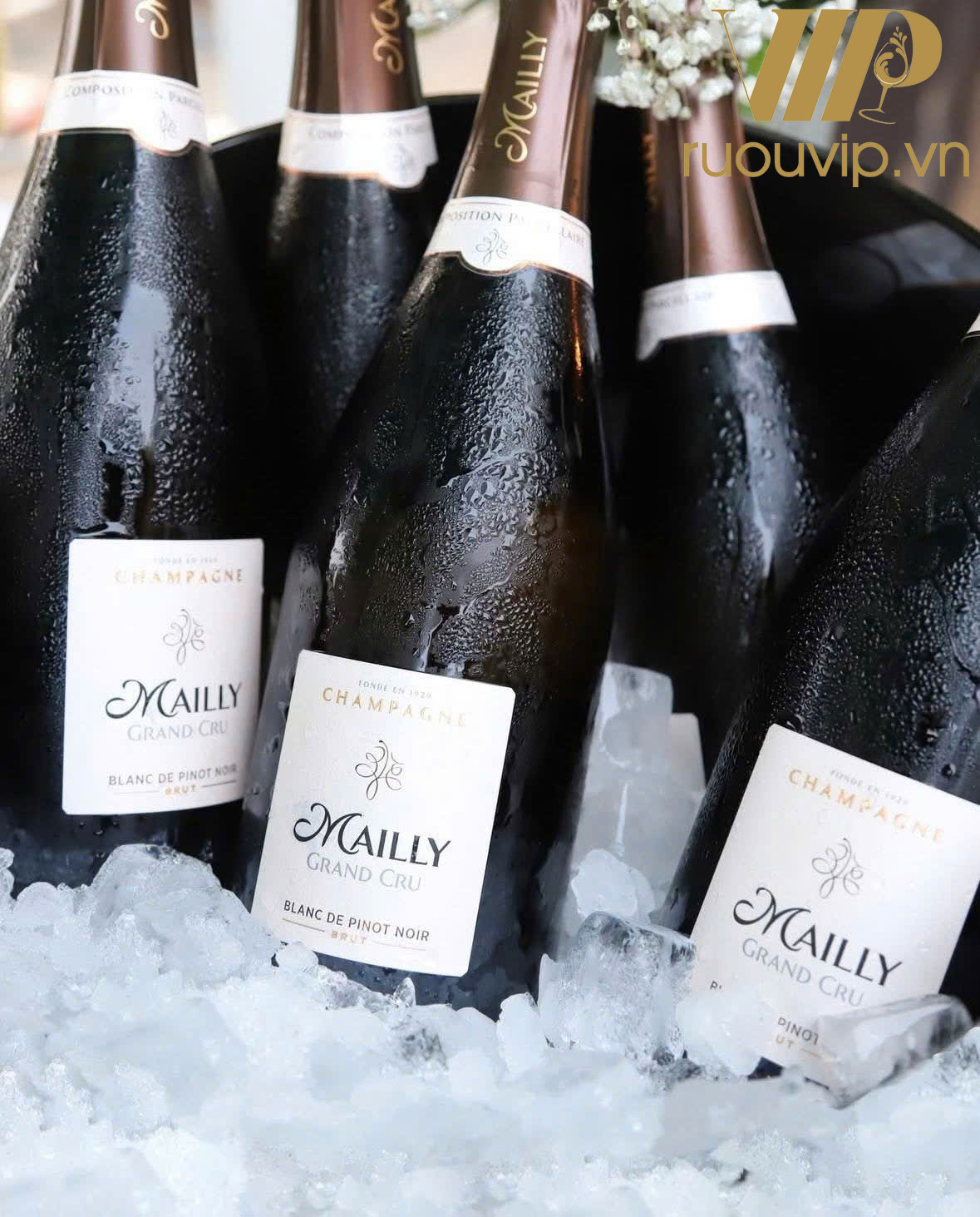 Champagne Mailly Grand Cru
