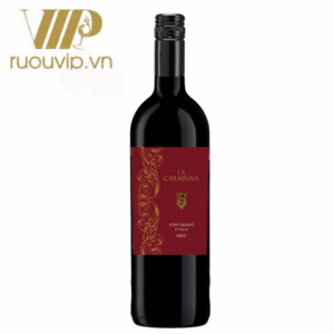 ruou-vang-la-carminaia-vino-rosso-ditalia