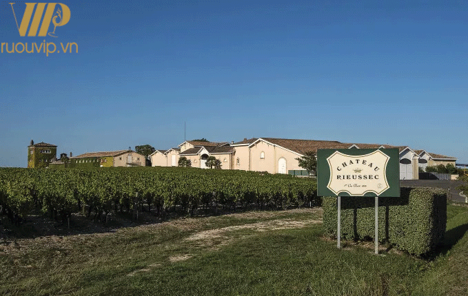 ruou-vang-ngot-chateau-rieussec-sauternes
