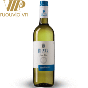 ruou-vang-botte-buona-vino-bianco