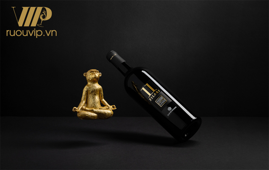 Vang Ý 11 Filari Primitivo di Manduria